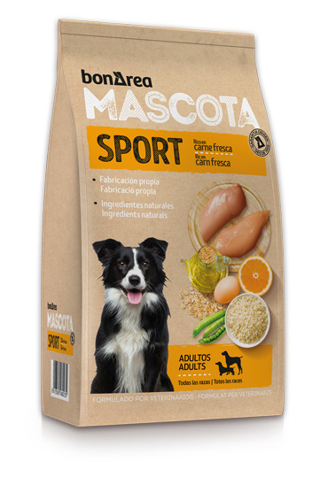 food-dog-sport-M